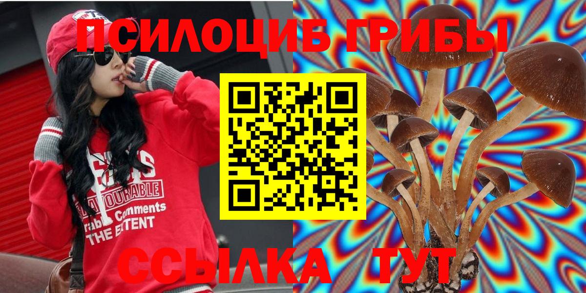 Кувандык  сколько стоит  Вход с VPN  Псилоцибиновые грибы MAGIC MUSHROOMS 