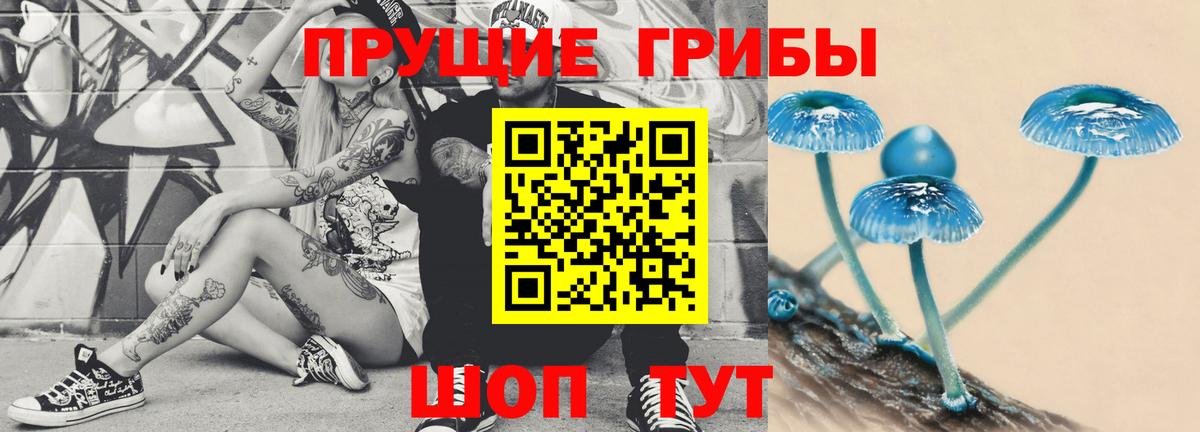 Псилоцибиновые грибы Cubensis Кувандык